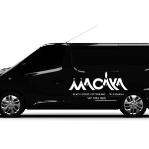 Mini Van VIP Private Transfer